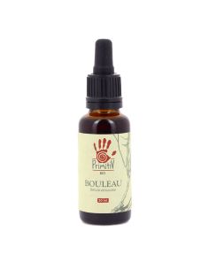 bouleau verruqueux Betula pendula 2