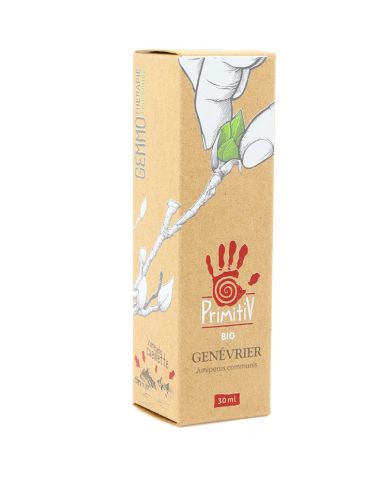 Genévrier Juniperus communis