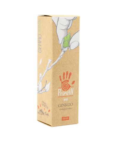 Ginkgo Ginkgo biloba