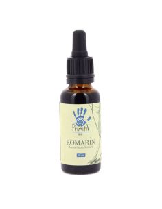 Romarin Rosmarinus officinalis 2