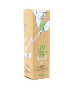 Rosier sauvage (églantier) Rosa canina