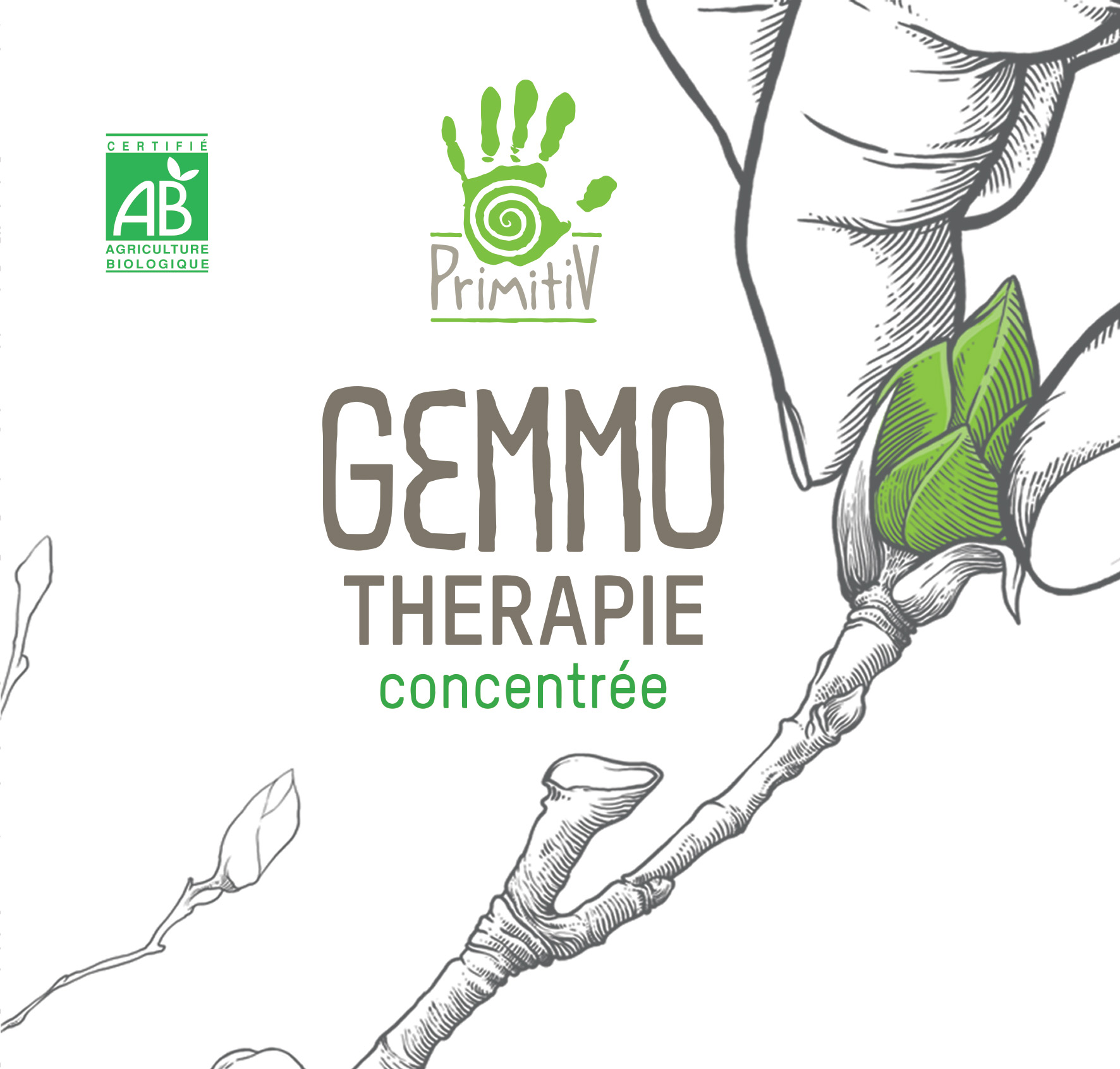 Gemmotherapie Bourgeon